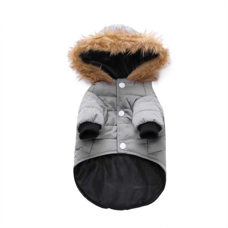 Winter clothing for pets 0 null