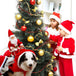 Dog Christmas Clothes Santa Claus Riding Deer 0 null