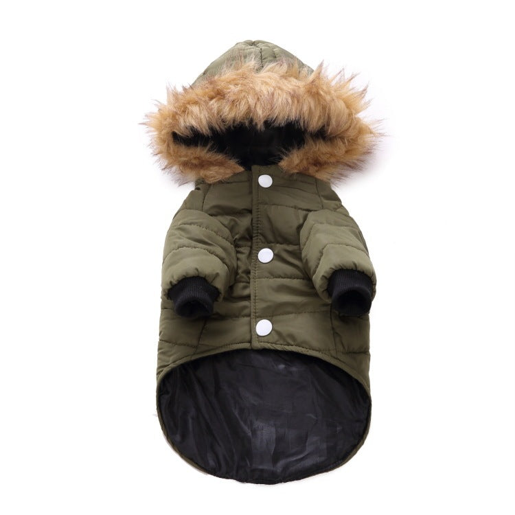 Winter clothing for pets 0 null