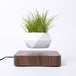 Magnetic Levitation Potted Plant Creative Gift Furniture Decoration 0 null