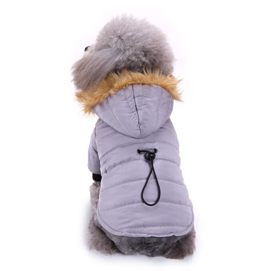 Winter clothing for pets 0 null