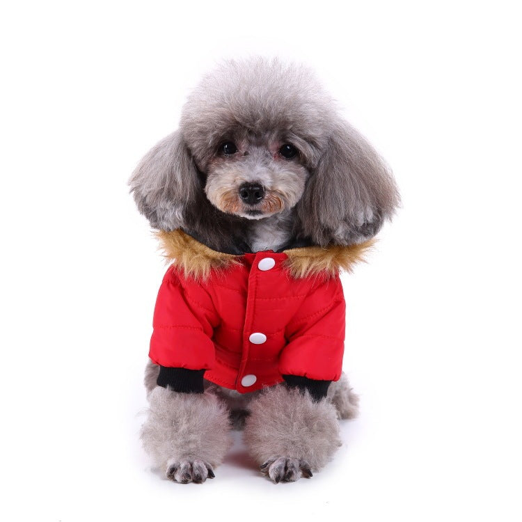 Winter clothing for pets 0 null