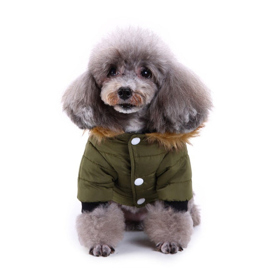 Winter clothing for pets 0 null