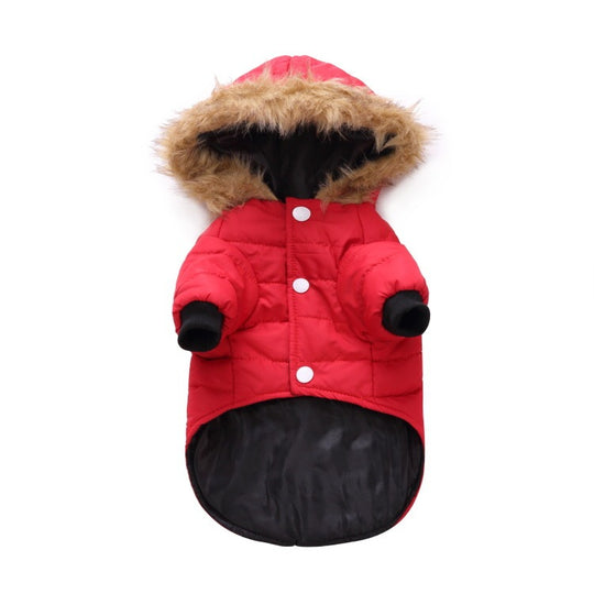 Winter clothing for pets 0 null