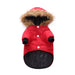 Winter clothing for pets 0 null