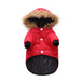 Winter clothing for pets 0 null