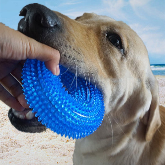 Pet Toy Bite Resistant Sounding Toy Ball 0 null