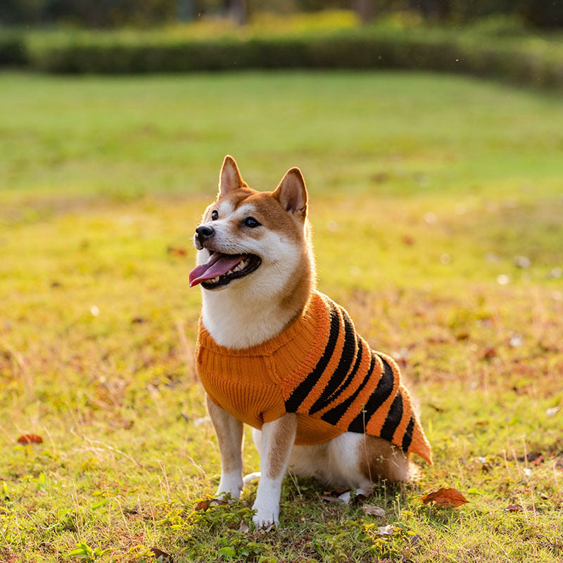 Halloween Dog Sweaters Pet Costume Teddy Warm Leisure Sweater Cosplay Clothes For Dogs Pets Outfits 0 null