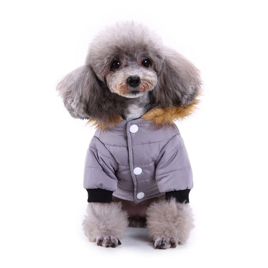 Winter clothing for pets 0 null