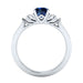 New inlaid sapphire zircon ring European and American hot-plated 925 silver princess engagement ring 0 null