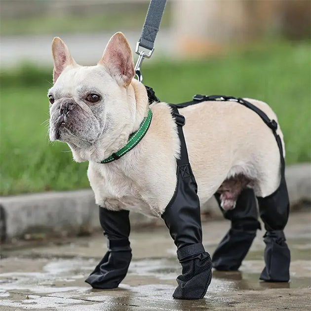 Waterproof Dog Shoes Adjustable Dog Boots Pet Breathbale Shoes For Outdoor Walking Soft French Dog Shoes Pets Paws Protector Pet Products pet supplies Zimivas