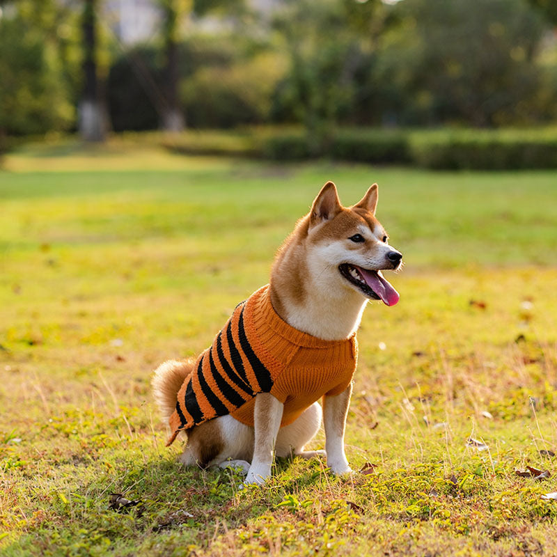 Halloween Dog Sweaters Pet Costume Teddy Warm Leisure Sweater Cosplay Clothes For Dogs Pets Outfits 0 null