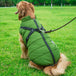 Dog Clothes Chest Back Integrated Cotton Vest Pet Cotton Clothes Winter Clothes Army Green 0 null