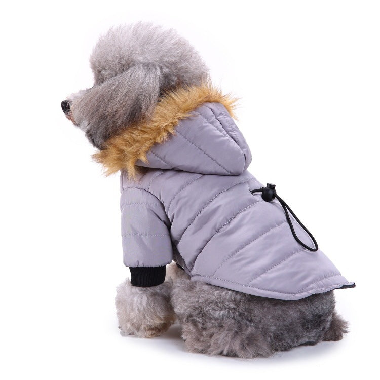 Winter clothing for pets 0 null