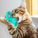 New Windmill Cat Toys Cute Rotating Interactive Cat Toy - Indoor Windmill Cat Toy With Suction Cup Catnip & Jagged Teeth Middle Ball, Smart Kitten Rotating Spinner Exercise Toy, Toothbrush & Massager 5 null