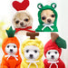 Cute Fruit Dog Clothes For Small Dogs Hoodies Winter Warm Fleece Pet Clothing Puppy Cat Costume Coat For French Chihuahua Outfit Pets supplies Zimivas