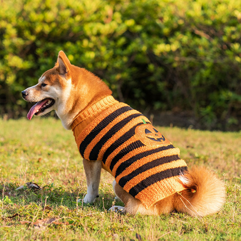 Halloween Dog Sweaters Pet Costume Teddy Warm Leisure Sweater Cosplay Clothes For Dogs Pets Outfits 0 null