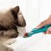 The Hot Cat Strip Spoon Feeder Squeezes Snack Pet Feeding Tools Pets supplies Zimivas