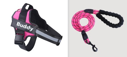 Pet Leash Chest Strap Set Pink pet supplies Zimivas