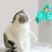 New Windmill Cat Toys Cute Rotating Interactive Cat Toy - Indoor Windmill Cat Toy With Suction Cup Catnip & Jagged Teeth Middle Ball, Smart Kitten Rotating Spinner Exercise Toy, Toothbrush & Massager 5 null